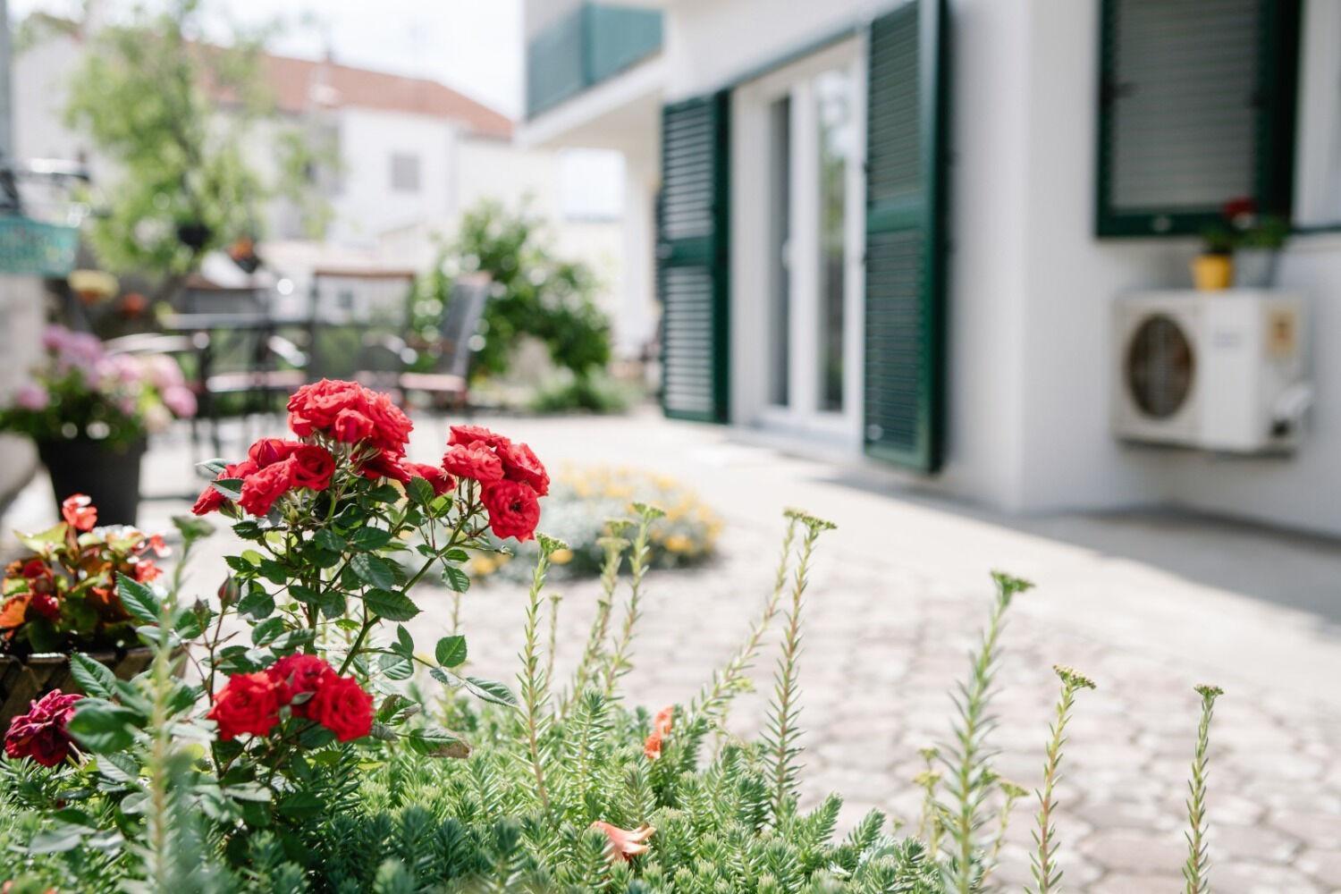 Apartments Petri - Close To The Sea 티스노 외부 사진